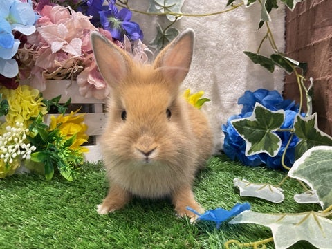 ちょろ毛が可愛い💖
