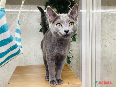 撮影日　2025年5月5日