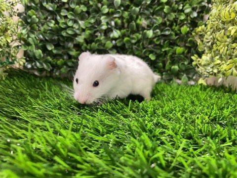 2025/05/05撮影📸　※写真はイメージです