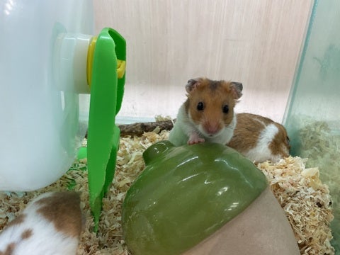 2025/05/05撮影　※写真はイメージです📸