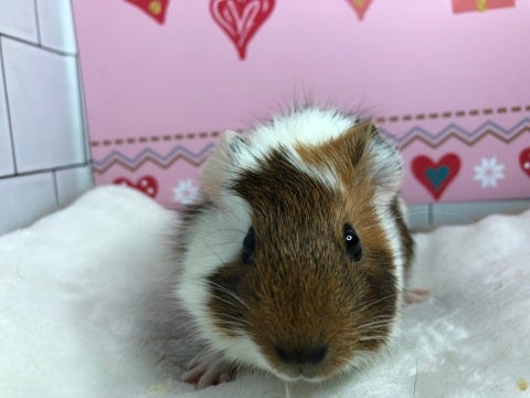 ５／５撮影