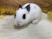 5月6日撮影