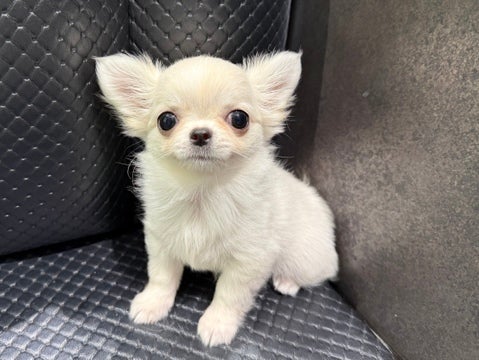5/6撮影♬　会いに来てね🐾