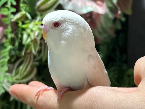 手乗り練習中です💪