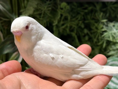是非会いに来てください✨