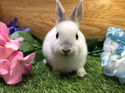 【5月6日撮影】ナデナデ大好き💗