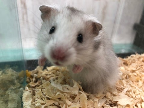 【5月6日撮影】