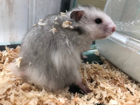 【5月6日撮影】