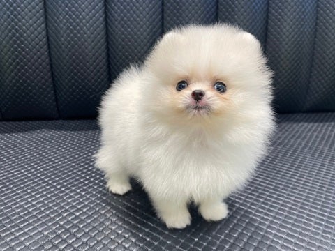 5/6撮影♬　会いに来てね🐾