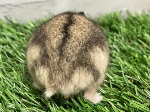 5月6日撮影♪
