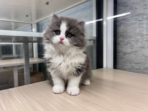 5/6撮影♬　会いに来てね🐾