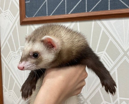 【2025/05/06 撮影】元気いっぱいです！