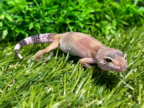 ☆5月6日撮影☆