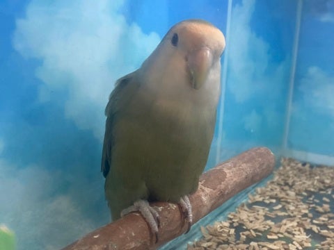 是非会いに来てください✨