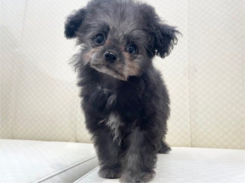 5/7 撮影♬　会いに来てね🐾