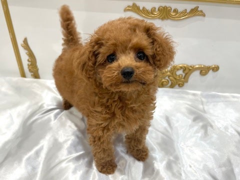 2025/05/07  なんでも興味津々👀🐾甘えん坊くんです💗💘