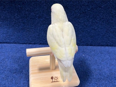 2025/5/7撮影
