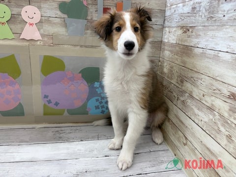 2025/05/07撮影　パパ 12kg　ママ 9㎏