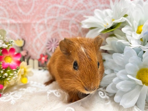 撮影日スタジオにドキドキしてます♡