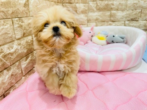 5/7撮影　まんまるフォルムが愛おしい🥰