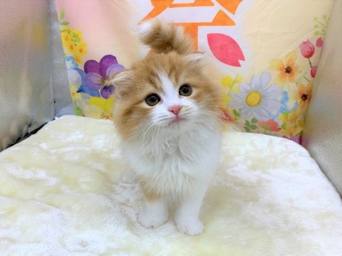 【2025/05/07撮影】超絶かわいいでしょ💗