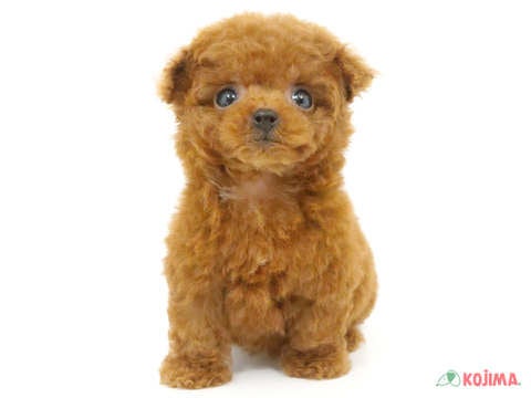 5/8撮影♬　将来は美人ちゃん🥰