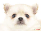 826504_ext_33_0_L.jpg