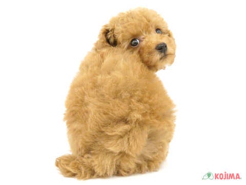 【5月6日撮影】ぜひ遊びにきてください✨✨