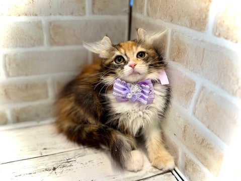 5/8更新✨　お写真撮るの頑張ったよ～📸