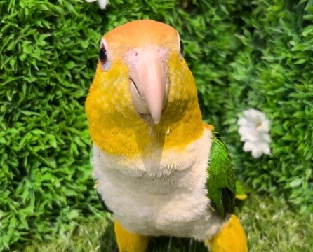 ☆5月8日撮影☆