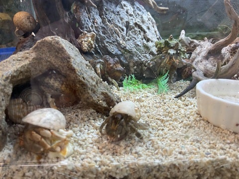 ※写真はイメージになります