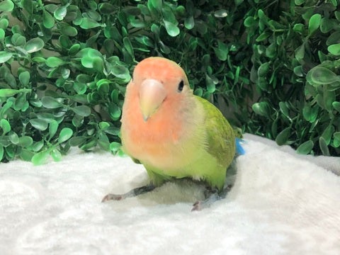 ん？