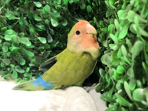 可愛いです💕