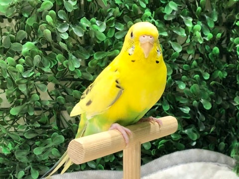 お話よく聞いてます❤️