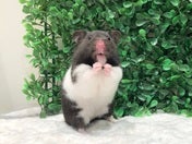 かわいすぎる💕4/8
