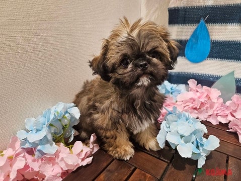 【2025/5/8/8撮影】元気いっぱい✨