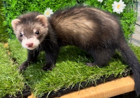 ☆5月8日撮影☆