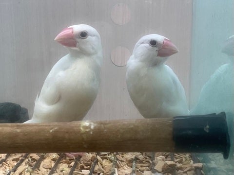 2025/5/8  撮影📸　※写真はイメージです