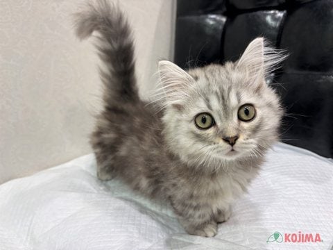 【2025/05/08撮影】あんよが短いのでぽてぽてしています💕