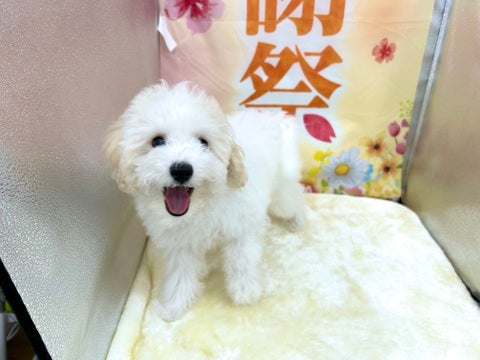 【2025/04/10撮影】超元気いっぱい！いつでもニコニコな男の子です！