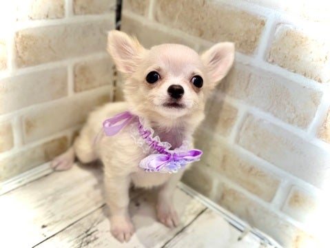 5/9更新✨　可愛く撮れました✨