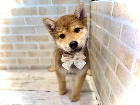 5/9更新✨　可愛く撮れたよ～🤍