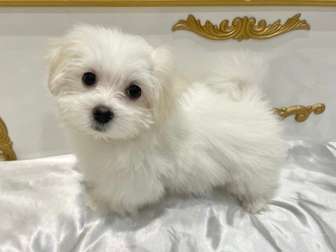 2025/05/09  マイペースな甘え上手ちゃんです🥰💘💘