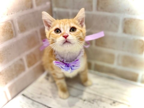 5/9更新✨　可愛く撮れました～✨