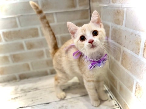 5/9更新✨　キョトン顔😶🤍