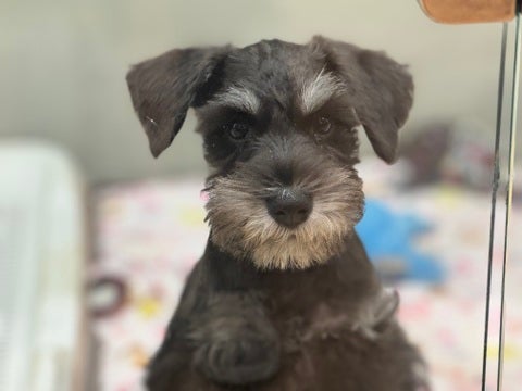 2025/05/09撮影  合成ではありません🤫
