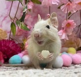 ／　うまーーーー！！　＼