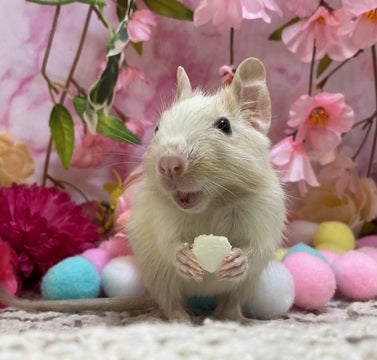 ／　うまーーーー！！　＼