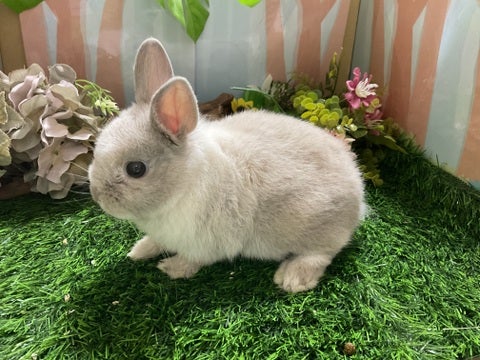 抱っこもできます！