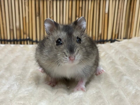 5/9撮影
